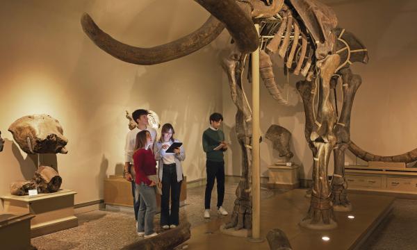 Collaborazioni 150 ore.